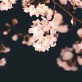 保護者様の声