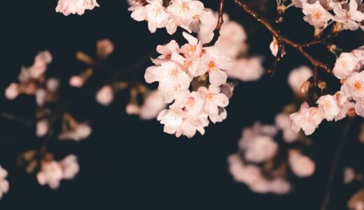 【保護者様の声】埼玉医科大学 医学部医学科（現役・男性）