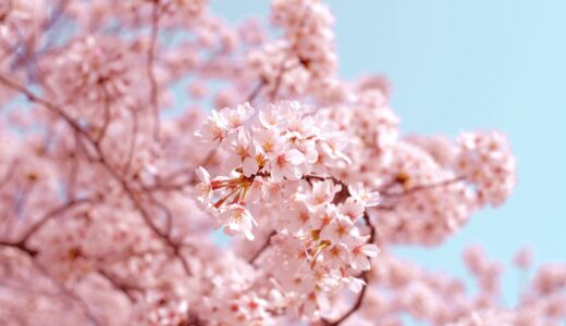 【決定版】都内進学校からの医学部･上位校合格実績
